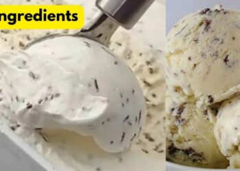 Homemade Ice Cream with 3 Simple and Easy Ingredients