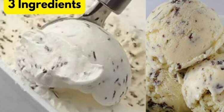 Homemade Ice Cream with 3 Simple and Easy Ingredients