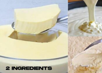 Easy and Quick Dessert With 2 Simple Ingredients, Super Creamy