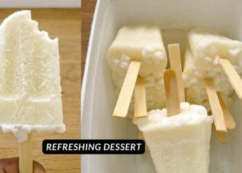 Homemade creamy coconut popsicle