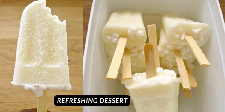 Homemade creamy coconut popsicle