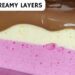 Creamy 2-layer dessert