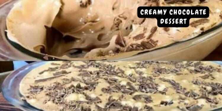 Creamy chocolate dessert