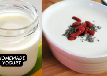 Homemade yogurt with 2 ingredients