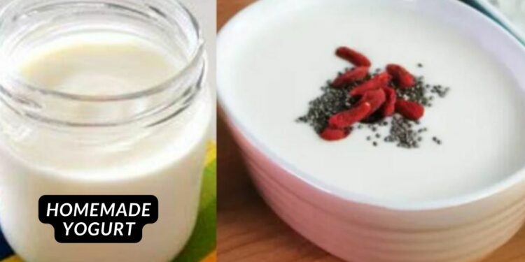 Homemade yogurt with 2 ingredients