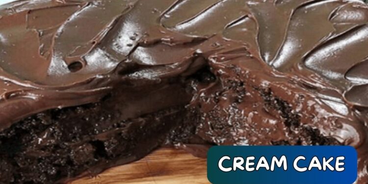 Creamy Chocolate Cake with Sauce