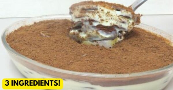 Easy, Simple And Super Creamy 3-Ingredient Cookie Dessert