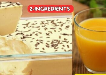 Creamy 2-ingredient dessert