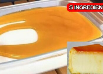 Milk pudding without eggs with 5 ingredients