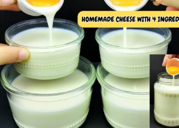 Cheese With 4 ingredients without vinegar