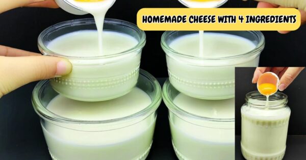 Cheese With 4 ingredients without vinegar