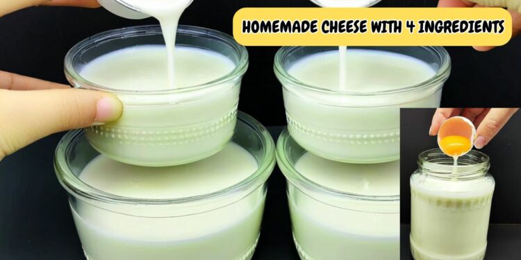 Cheese With 4 ingredients without vinegar