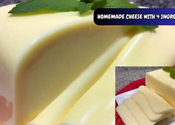 HOMEMADE CHEESE WITH 4 INGREDIENTS