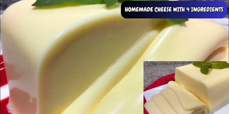 HOMEMADE CHEESE WITH 4 INGREDIENTS