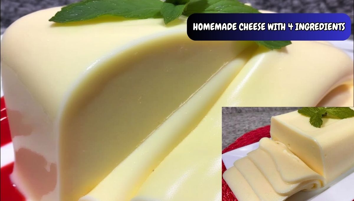 HOMEMADE CHEESE WITH 4 INGREDIENTS