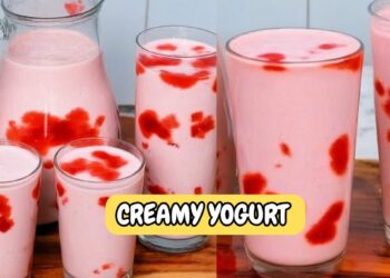 Homemade Yogurt with 3 Ingredients