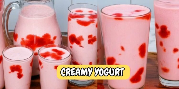 Homemade Yogurt with 3 Ingredients