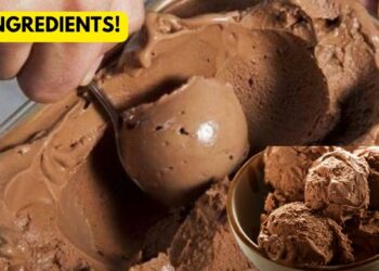 Homemade Chocolate Ice Cream Without Condensed Milk With 3 Easy Ingredients