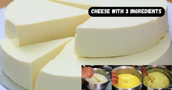 Homemade cheese with 3 ingredients