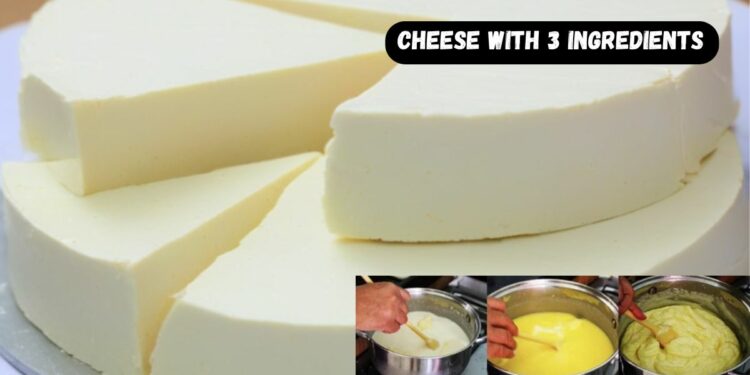 Homemade cheese with 3 ingredients