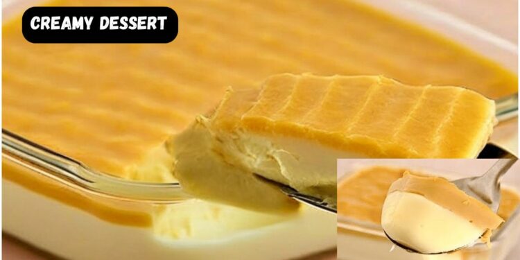 Creamy dessert: easy and practical recipe, just mix and refrigerate