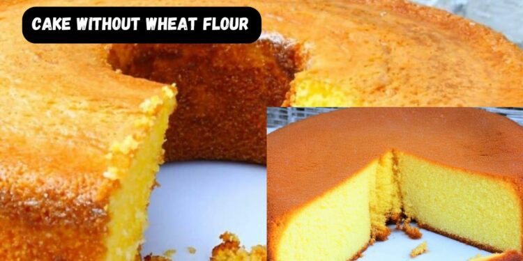 Corn cake without wheat flour