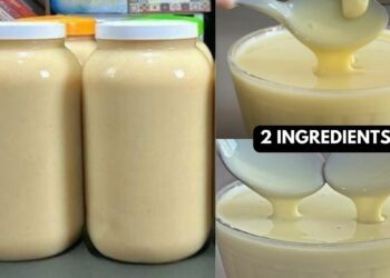 Homemade Condensed Milk With 2 Ingredients