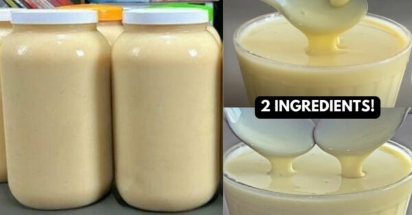 Homemade Condensed Milk With 2 Ingredients