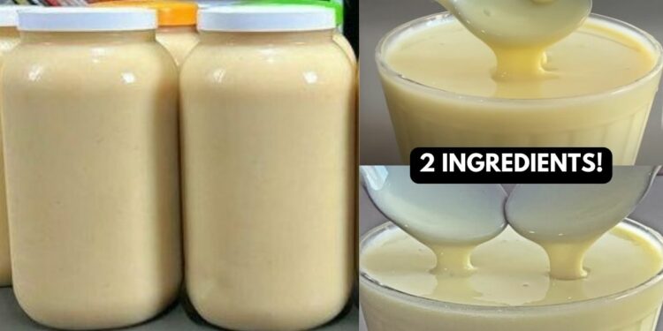 Homemade Condensed Milk With 2 Ingredients