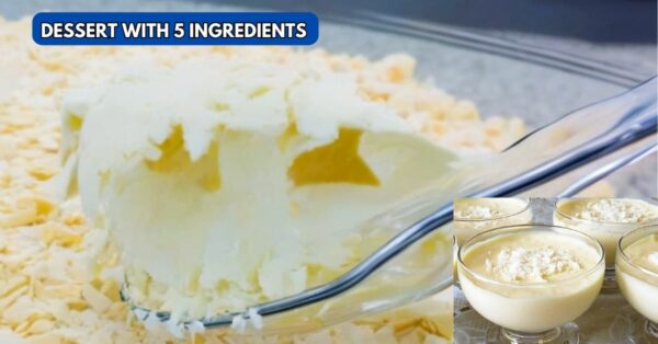 Creamy dessert with 5 ingredients: Simple, refreshing recipe that everyone will love