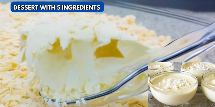 Creamy dessert with 5 ingredients: Simple, refreshing recipe that everyone will love