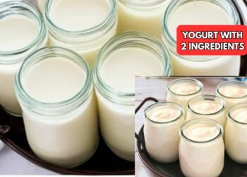 Homemade yogurt with 2 ingredients