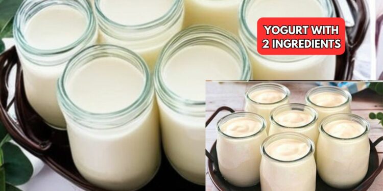 Homemade yogurt with 2 ingredients