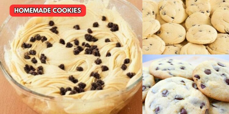 Chocolate Chip Cookies