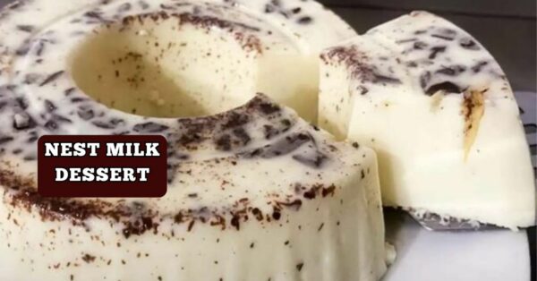 Creamy Ninho Milk and Chocolate Dessert: A simple and delicious recipe-just blend and chill