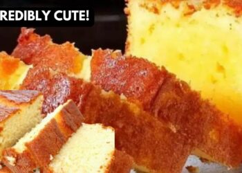 Fluffy and Easy Orange Cake Recipe, in minutes