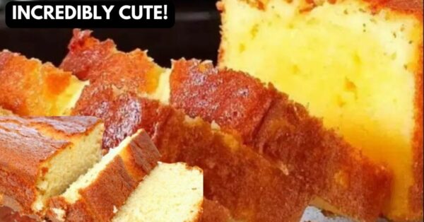 Fluffy and Easy Orange Cake Recipe, in minutes