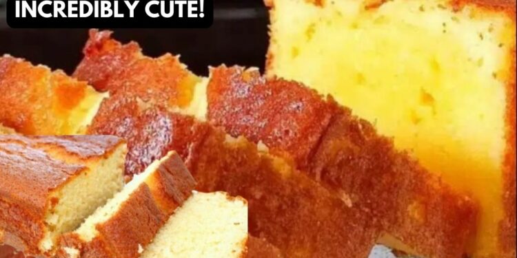 Fluffy and Easy Orange Cake Recipe, in minutes