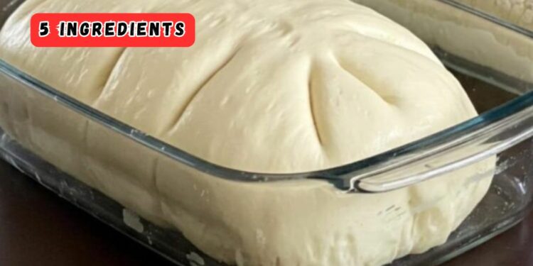 Soft Homemade Bread Dough