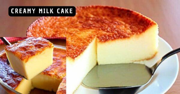 Creamy Milk Cake