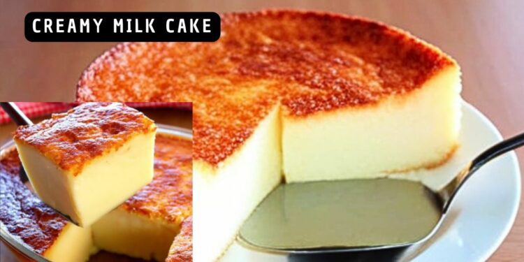 Creamy Milk Cake