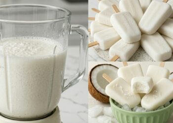 Coconut Popsicle Recipe in a Blender
