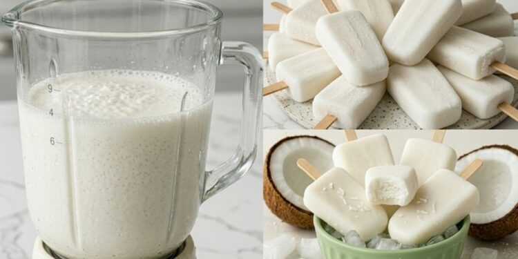 Coconut Popsicle Recipe in a Blender