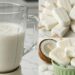 Coconut Popsicle Recipe in a Blender
