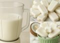 Coconut Popsicle Recipe in a Blender in 10 Minutes