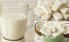 Coconut Popsicle Recipe in a Blender in 10 Minutes