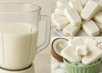 Coconut Popsicle Recipe in a Blender in 10 Minutes