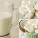 Coconut Popsicle Recipe in a Blender in 10 Minutes