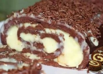 Prestige Roll Cake (No-Bake Chocolate Coconut Roll)