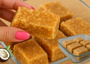 Quick & Easy Coconut Candy Recipe – Perfect for Family Desserts & Budget-Friendly Gifts